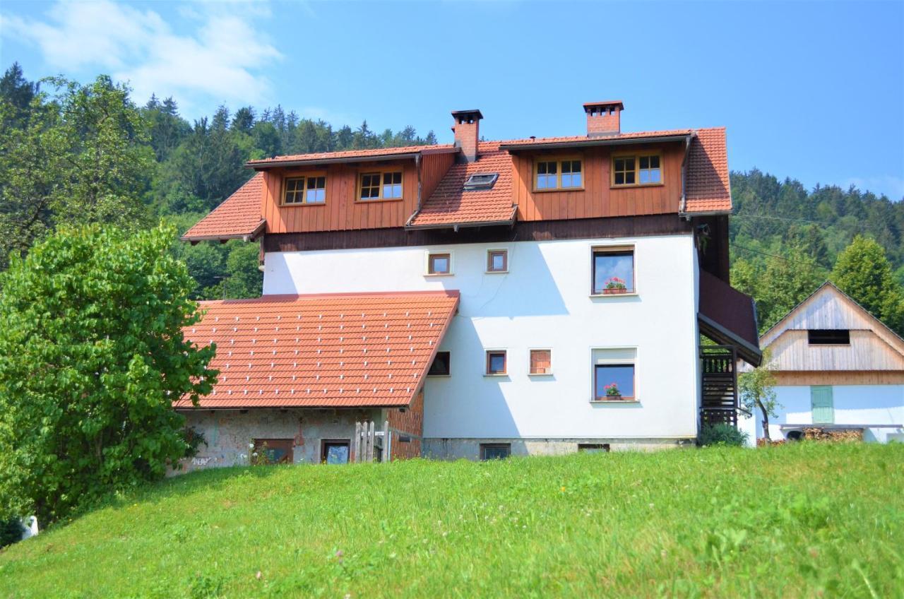 Gorenja Vas Healing Farm公寓 外观 照片