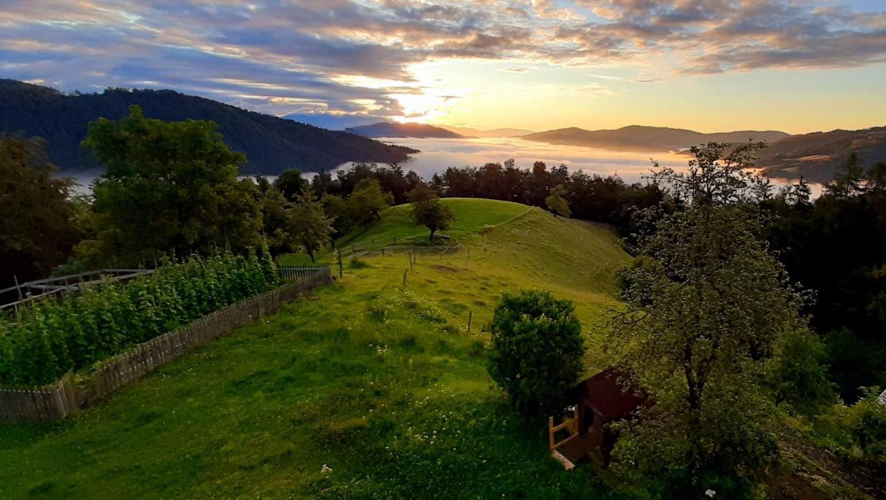 Gorenja Vas Healing Farm公寓 外观 照片