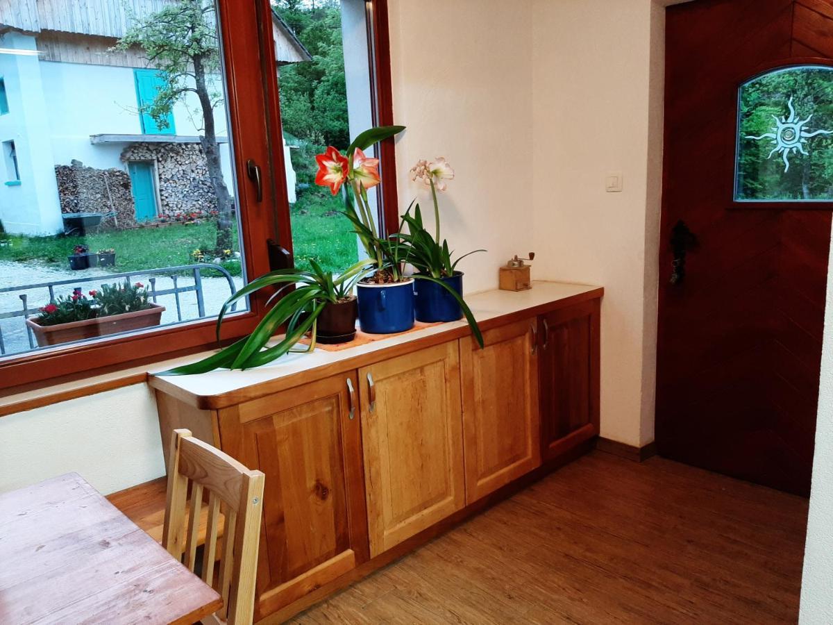 Gorenja Vas Healing Farm公寓 外观 照片