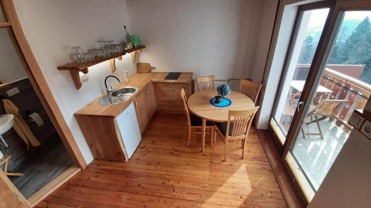 Gorenja Vas Healing Farm公寓 外观 照片