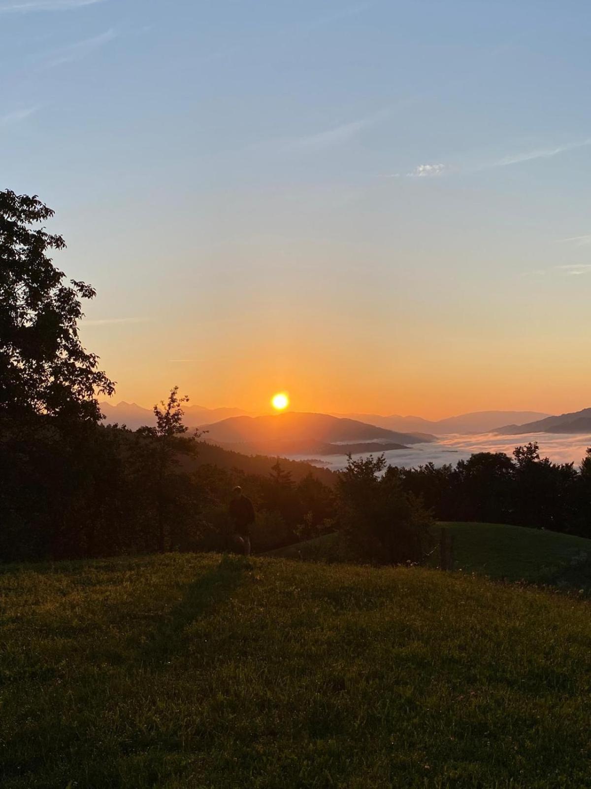 Gorenja Vas Healing Farm公寓 外观 照片