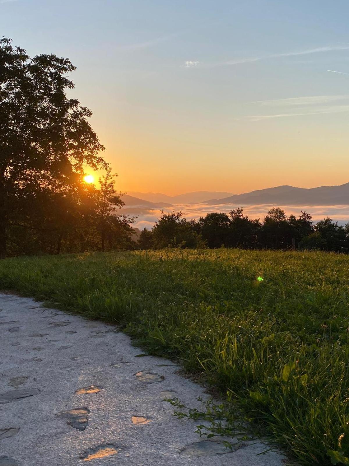 Gorenja Vas Healing Farm公寓 外观 照片