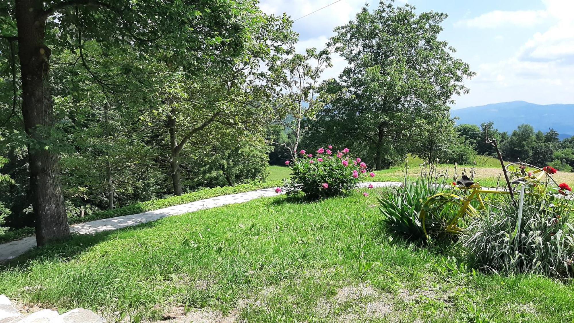 Gorenja Vas Healing Farm公寓 外观 照片
